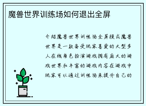 魔兽世界训练场如何退出全屏
